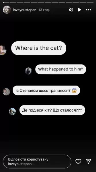  The famous cat Stepan contacted his fans: what he reported