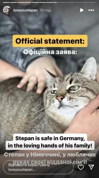 The famous cat Stepan contacted the fans: what he reported