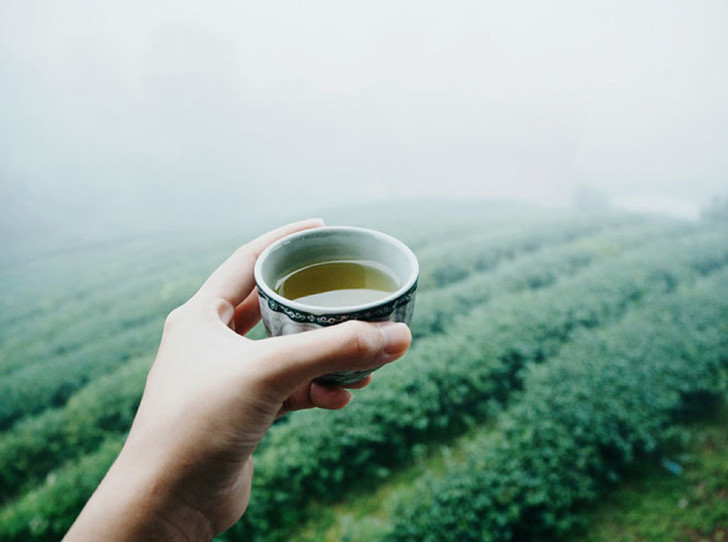 How to brew tea correctly: 5 of the most common mistakes