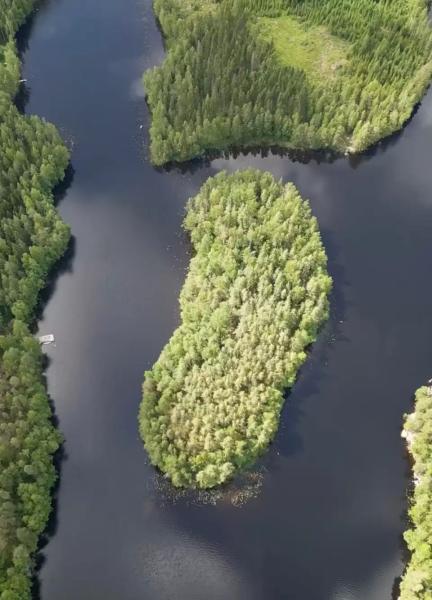 Student bought a private island that cost less than some cars