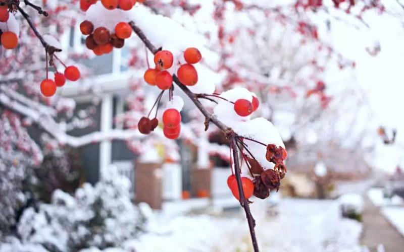 Folk omens about the future harvest and weather: this is how our ancestors predicted important events