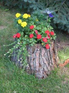 Three ideas for original flower beds from old wood